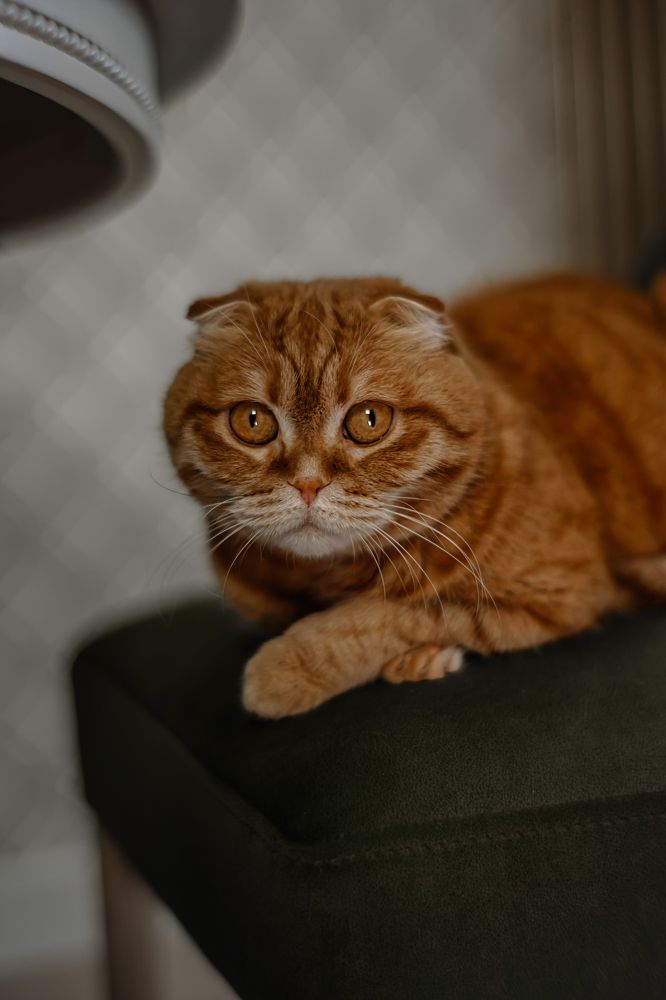 Photograph by Валерия Трушина