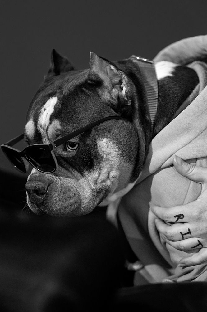 Photograph by Валерия Трушина