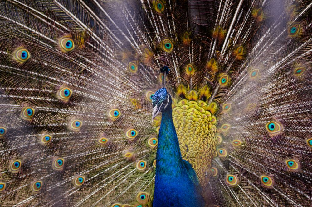 Photograph by Dale White