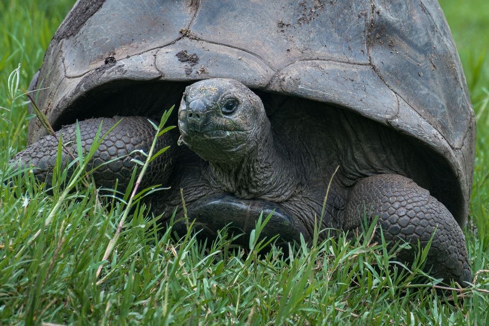 Photograph by Наталья Кокорина