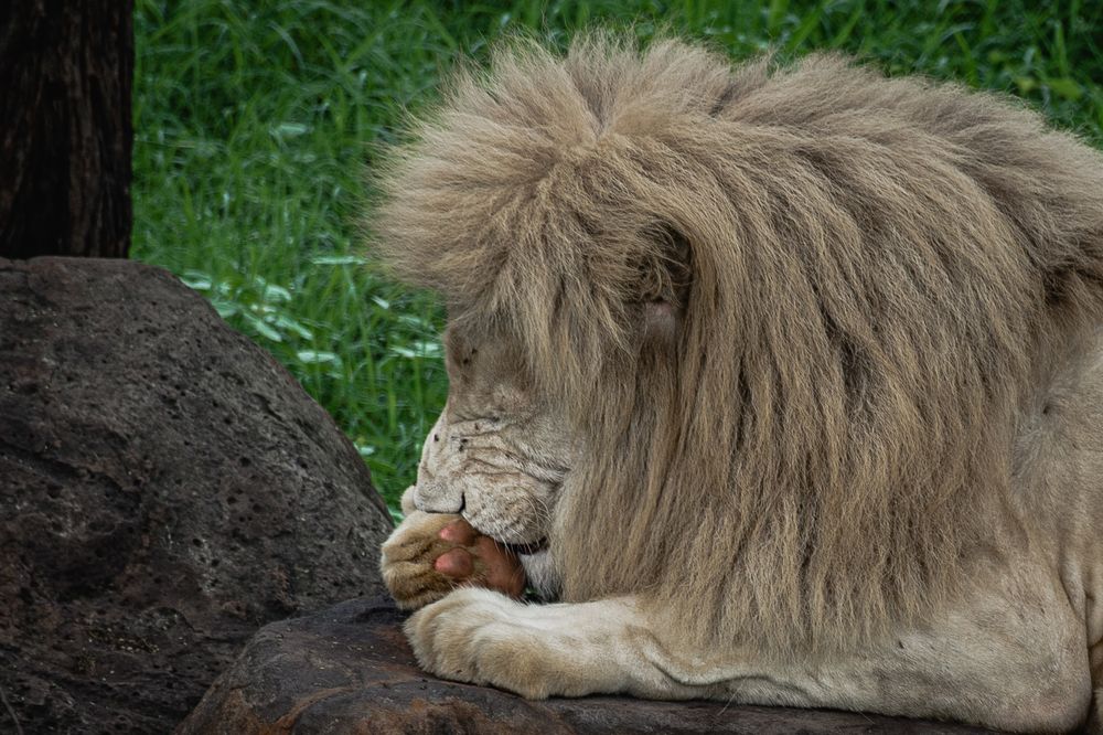 Photograph by Наталья Кокорина