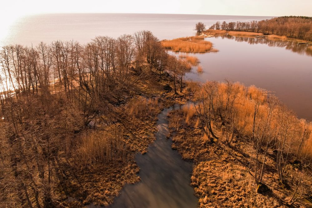 Photograph by Юлия Тельпова