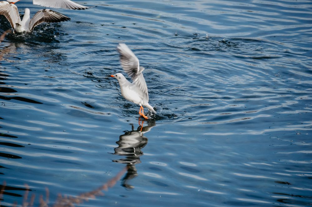 Photograph by Дарья Беляк