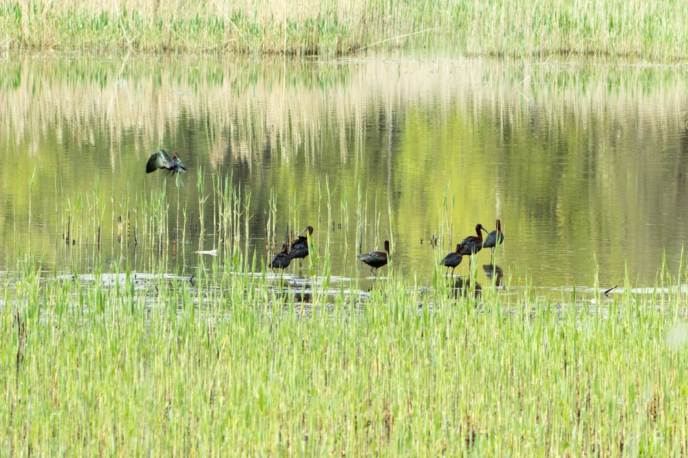 Photograph by Редько Александр