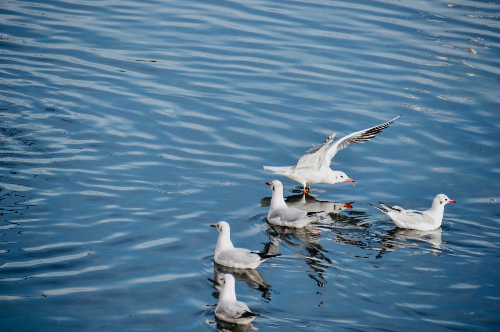 Photograph by Дарья Беляк