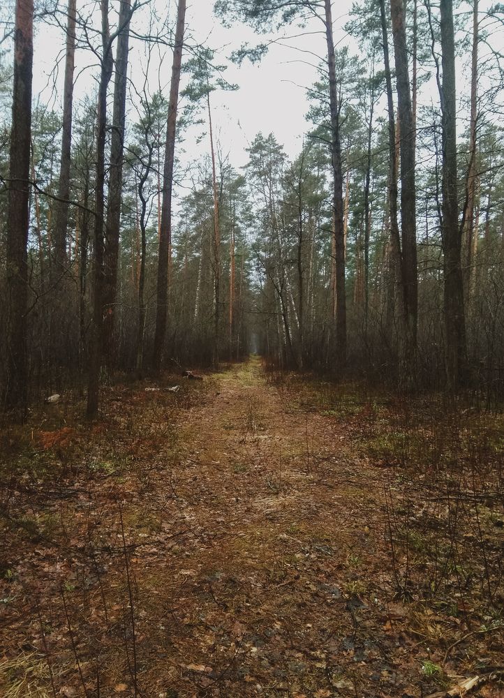 Photograph by Иван Полиненко