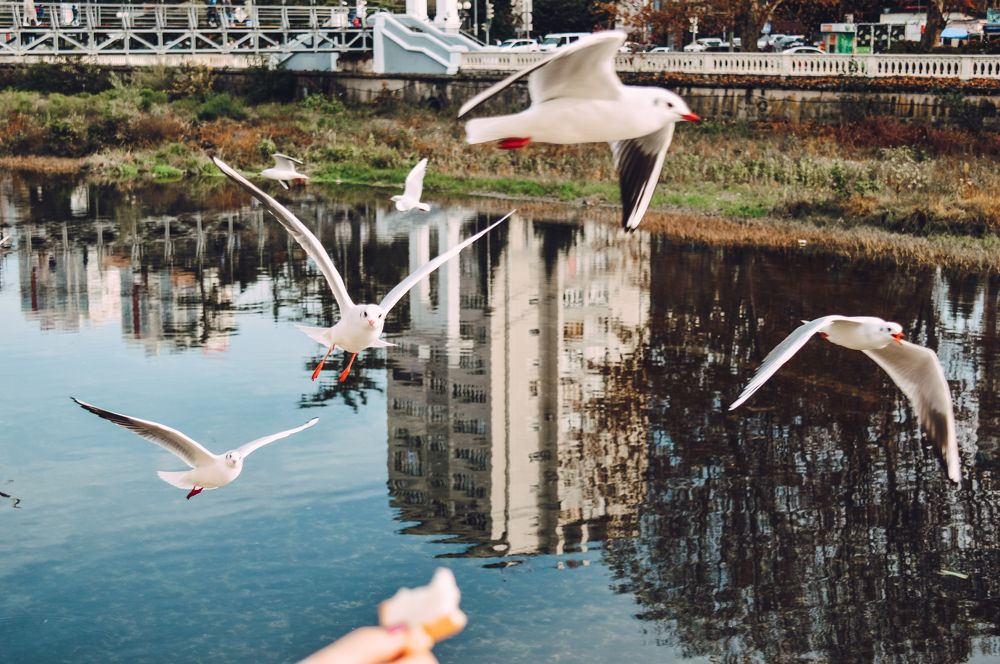 Photograph by Дарья Беляк