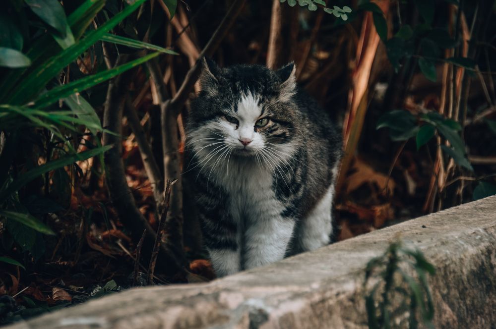 Photograph by Дарья Беляк