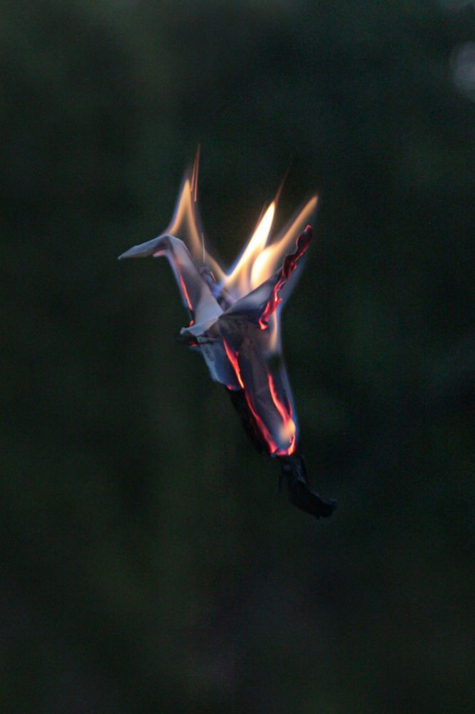 Фотография автора Polina Ivleva