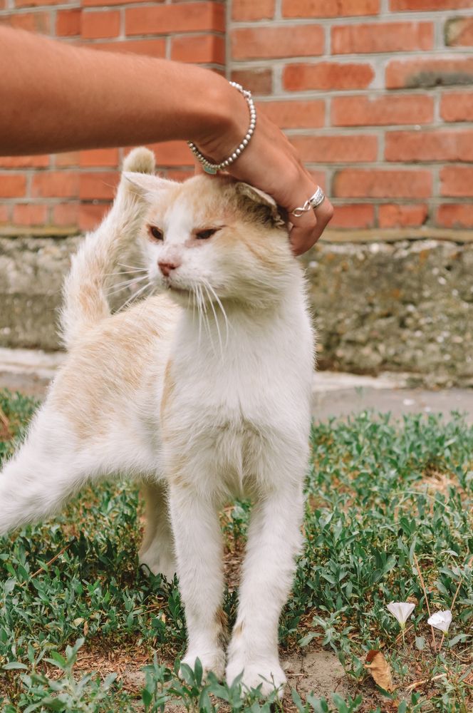 Photograph by Дарья Беляк