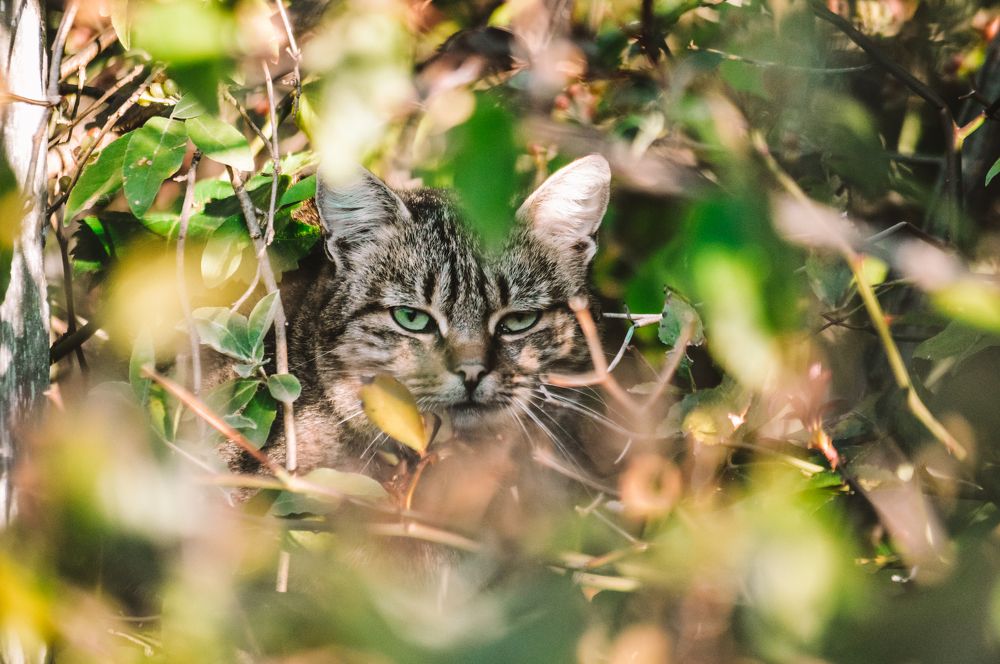 Photograph by Дарья Беляк