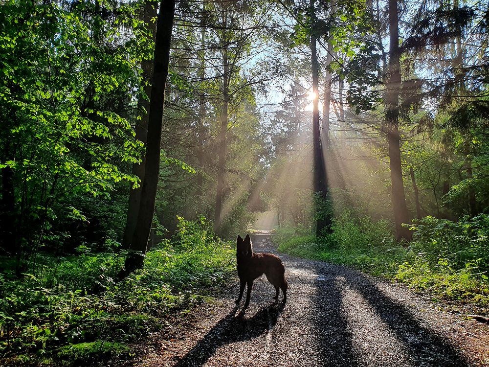Фотография автора Надежда Лисицына