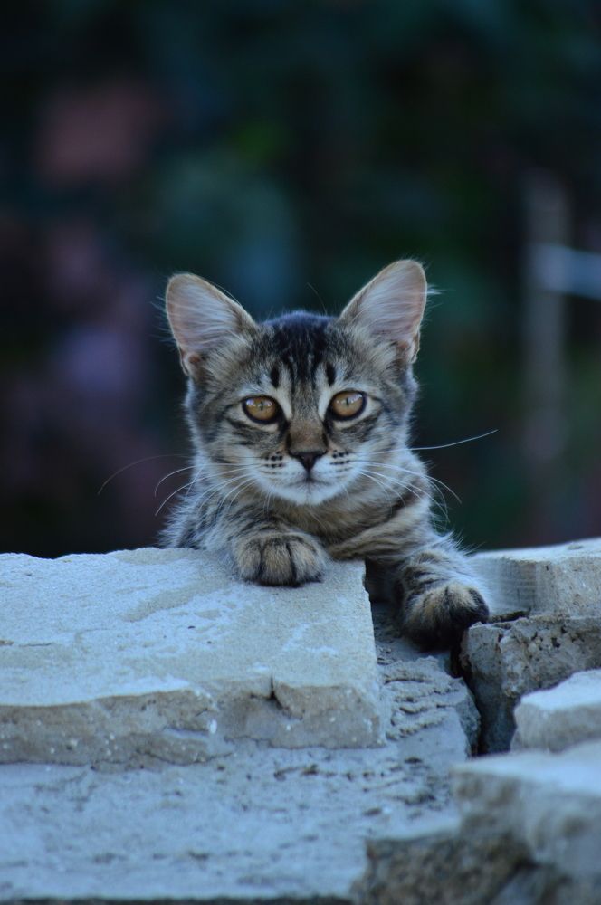 Photograph by Дарья Беляк