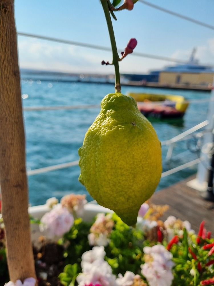 Photograph by Татьяна Малинина