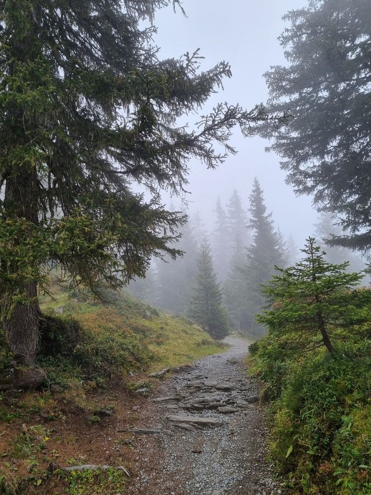 Photograph by Татьяна Малинина