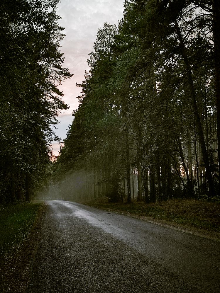 Фотография автора Polina Ivleva