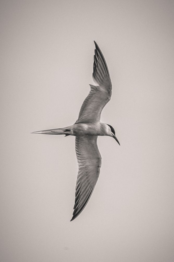 Photograph by Саша Литвин