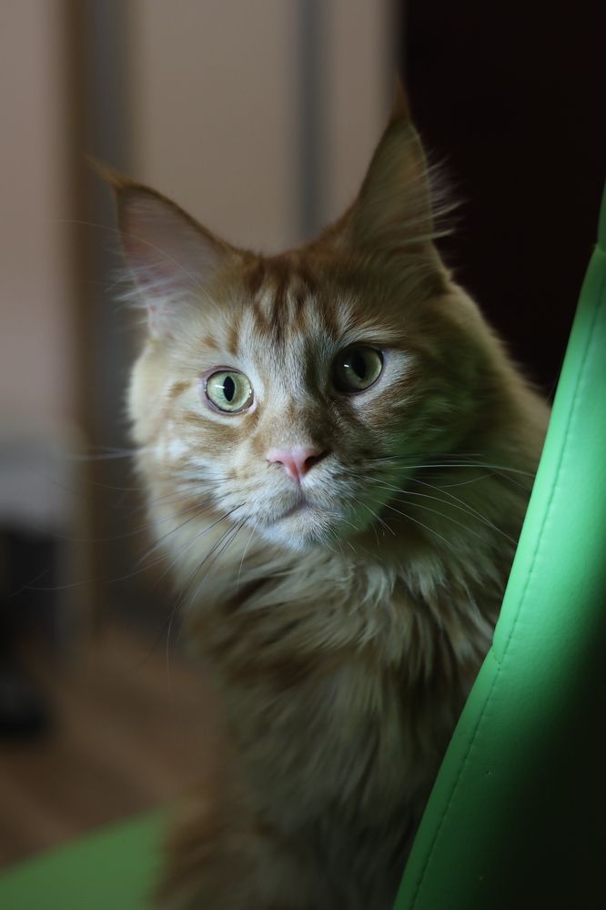 Photograph by Переверзева Татьяна