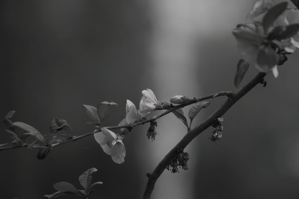 Photograph by Santiago Mata