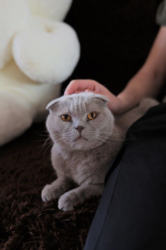 Photograph by Переверзева Татьяна