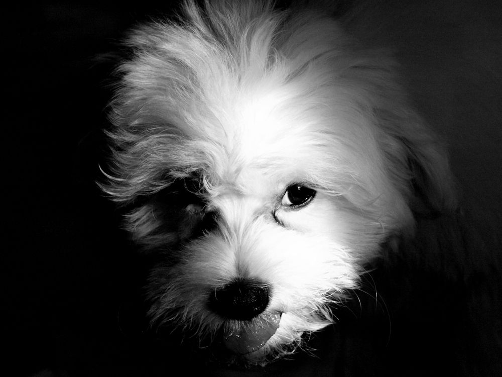 Photograph by Ivana Kolenc