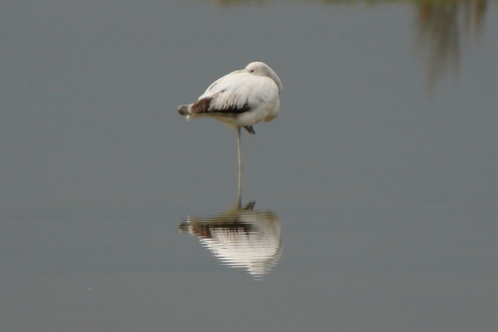 Photograph by Santiago Mata