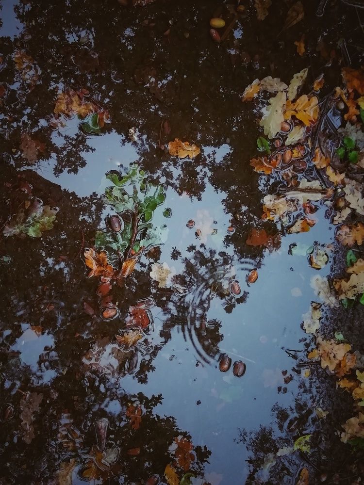 Photograph by Екатерина Чижевская