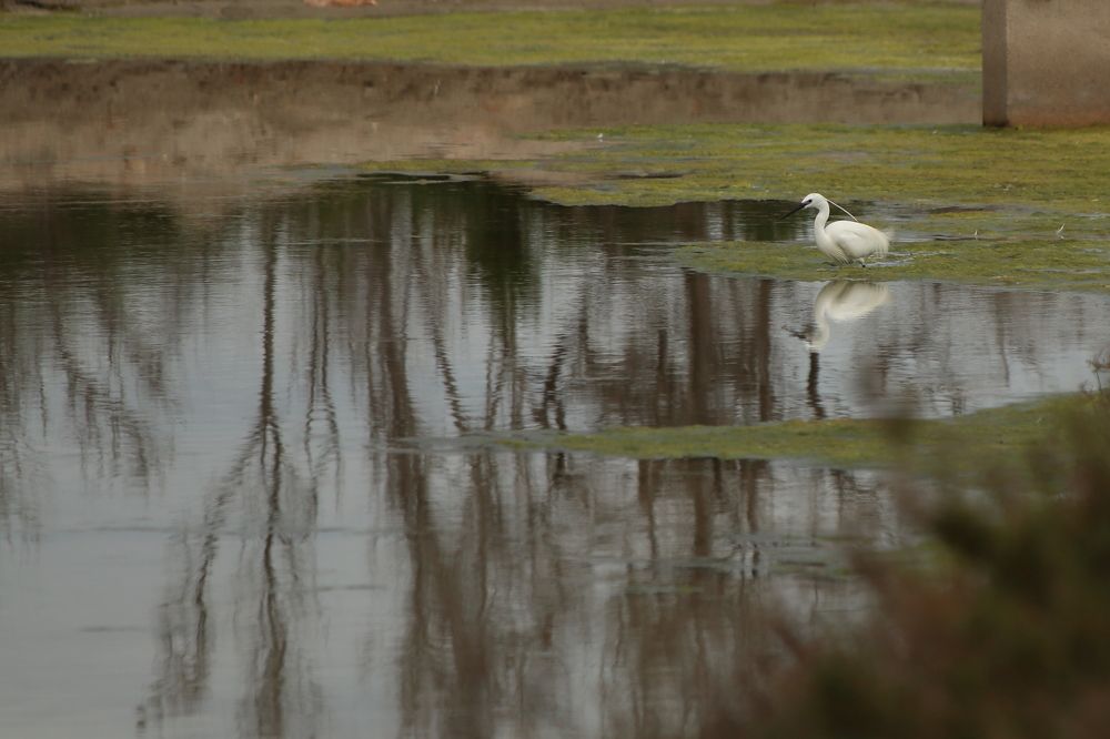 Photograph by Santiago Mata