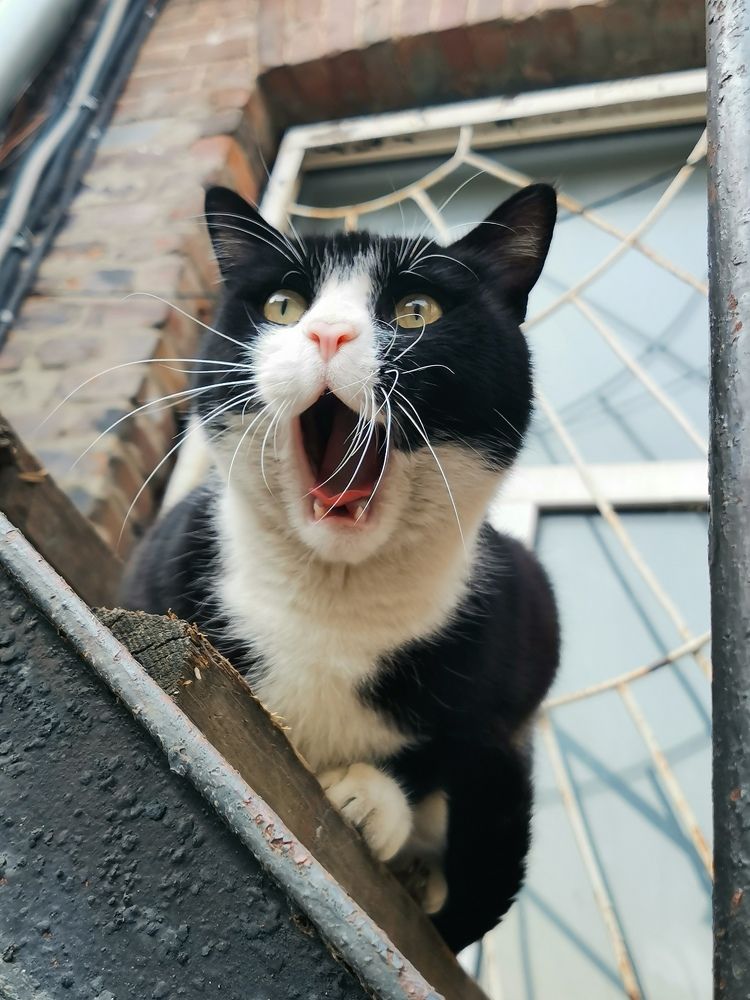 Photograph by Переверзева Татьяна