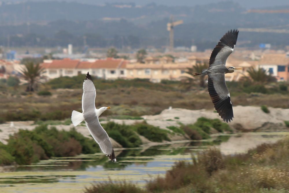 Photograph by Santiago Mata