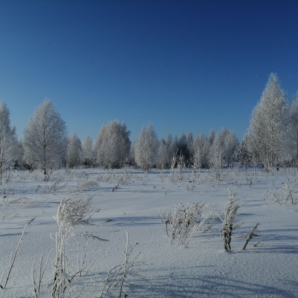 Photo #7511022
