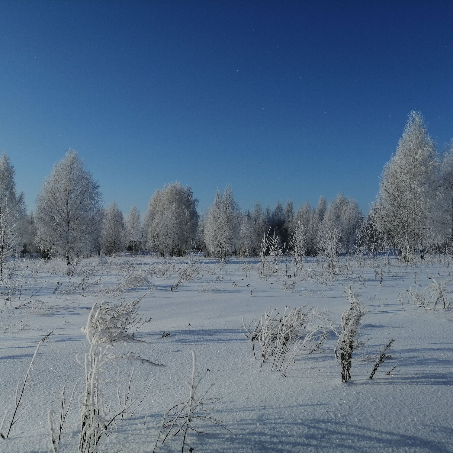 Photo #7511022