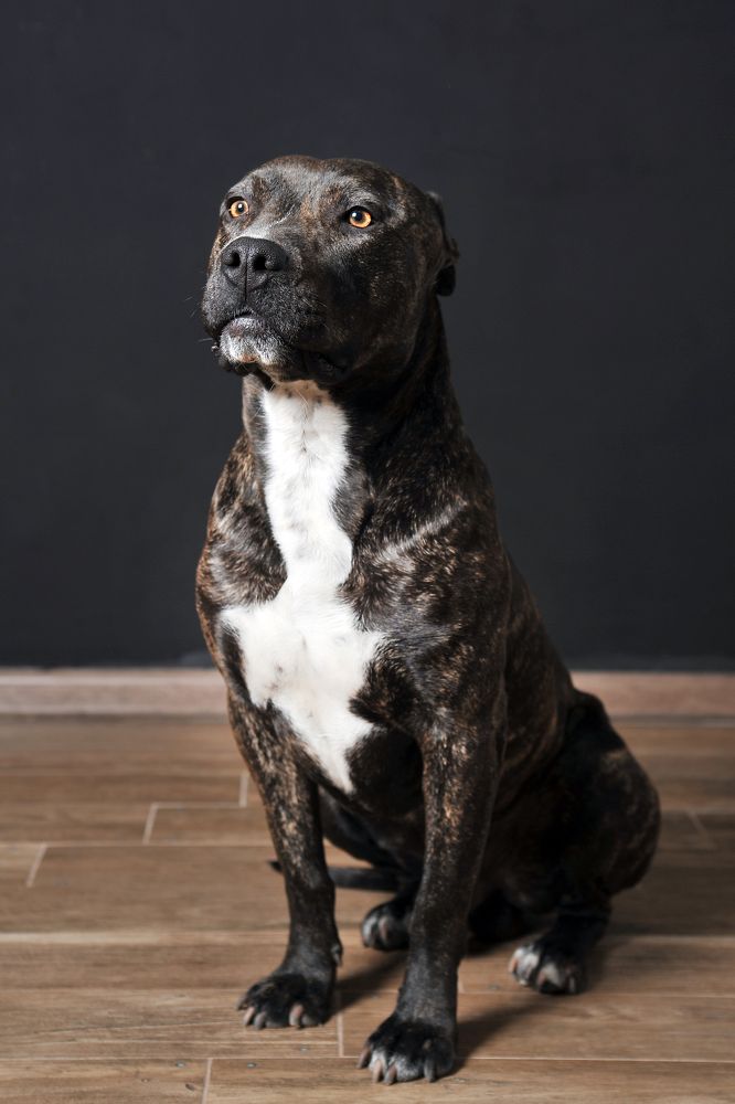 Photograph by Ольга Митина