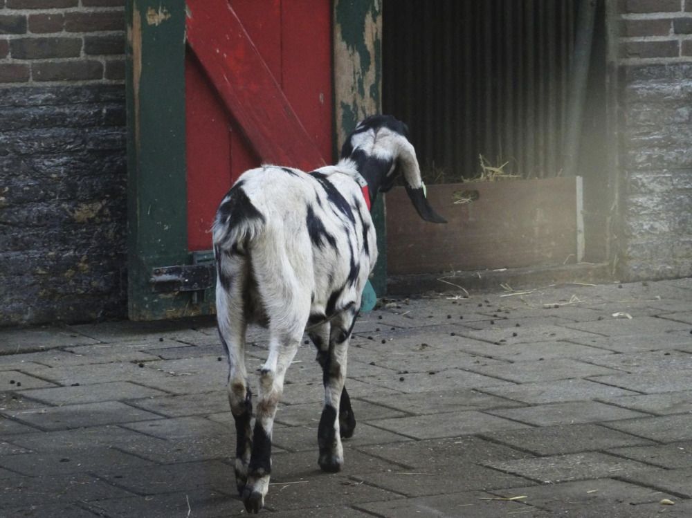 Photograph by Sona Sahakian