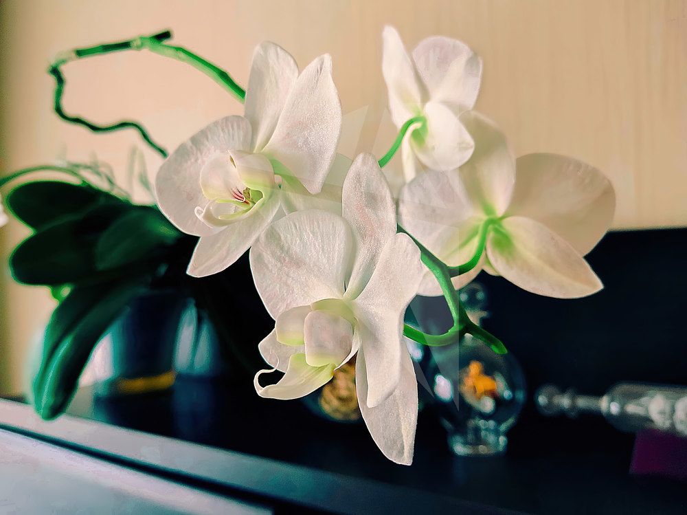 Photograph by Александр Катюрин