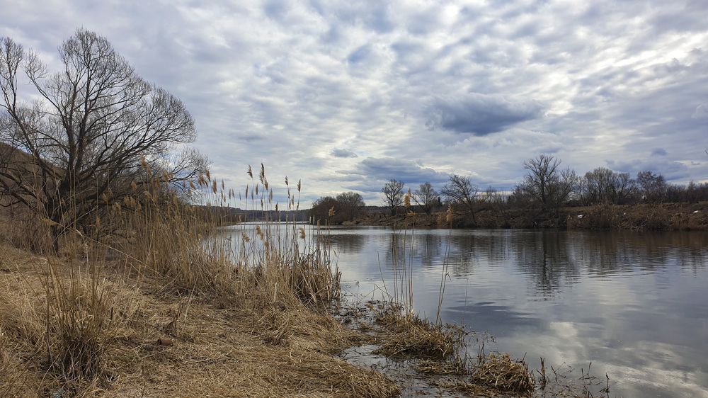 Photograph by Михаил Беляев