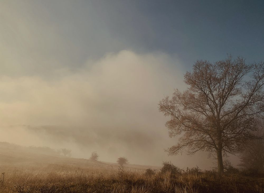 Photograph by Larisa Usmanova