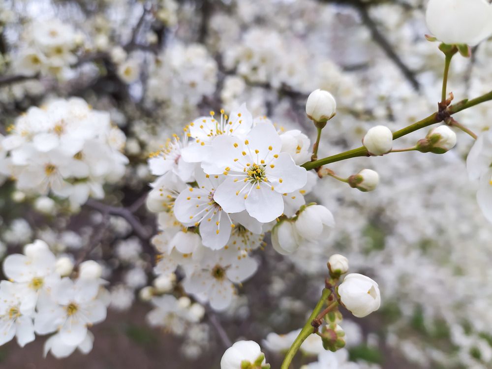 Photograph by Ирина Половцева