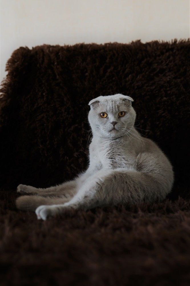 Photograph by Переверзева Татьяна