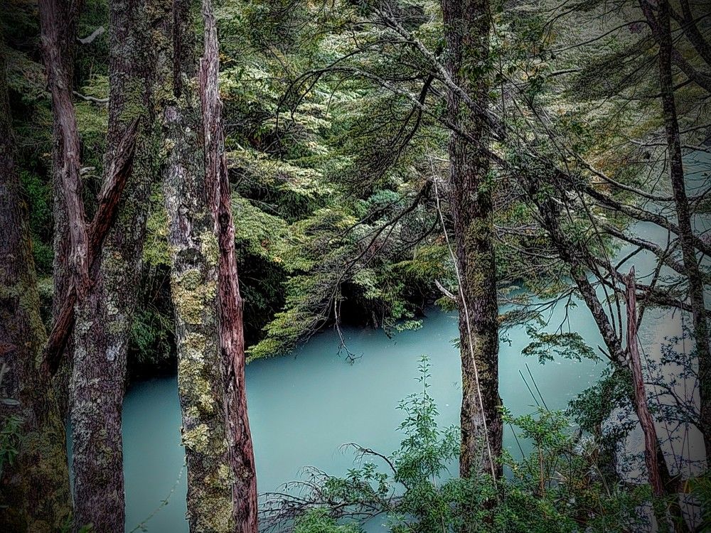 Фотография автора Cristina Wnetrzak