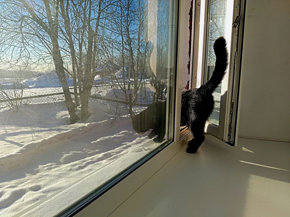 Photograph by Анатолий Майдуров