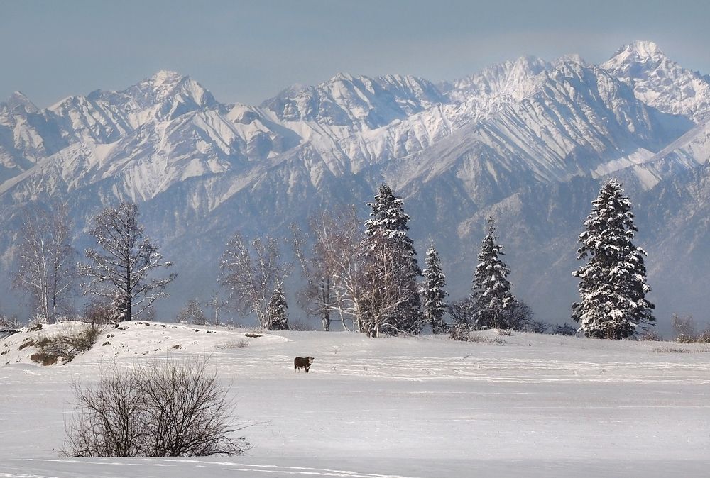 Photograph by Александр Попов