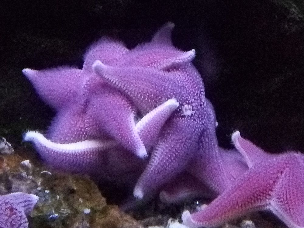 Фотография автора Tkachev Aleksey