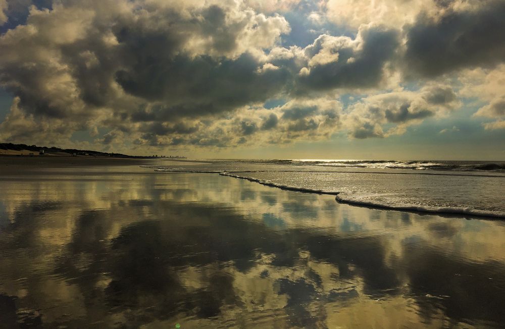 Photograph by Viviana García