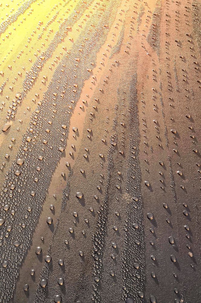 Photograph by Сергей Воронцов