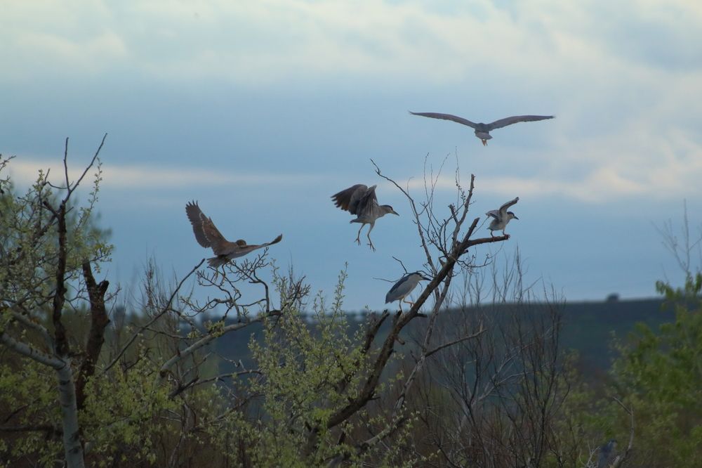 Photograph by Santiago Mata