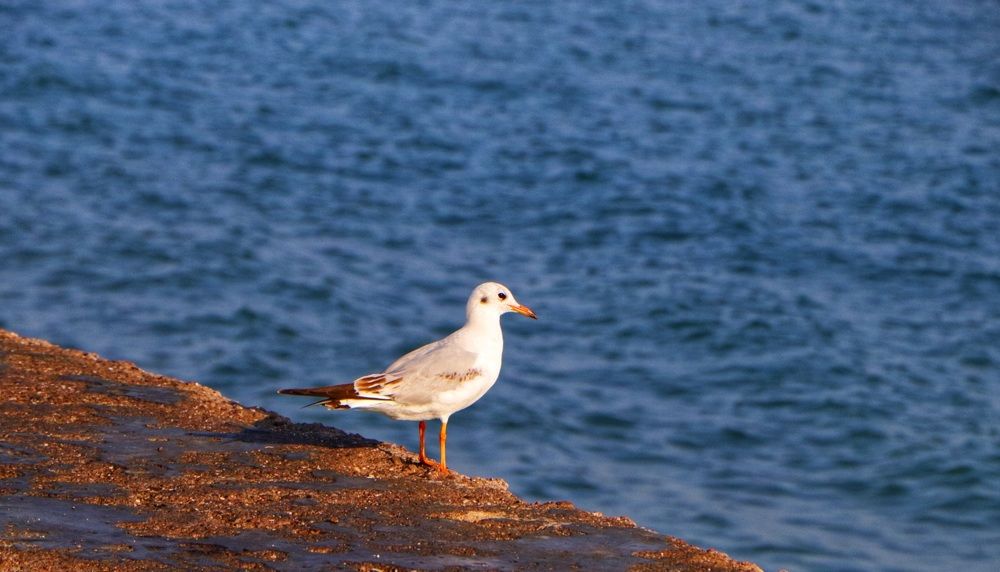 Photograph by Elahe Alizade