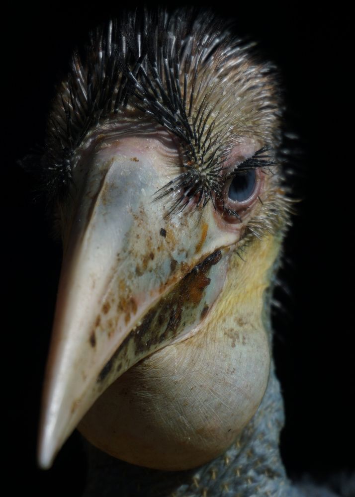 Photograph by irvan akhmad