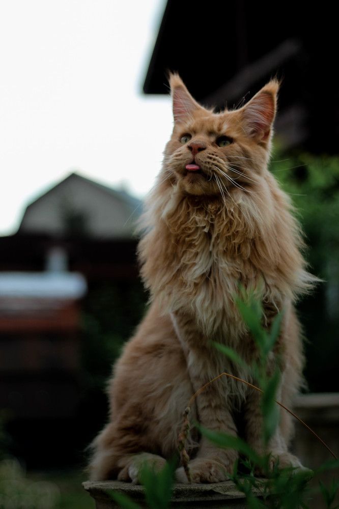 Photograph by Ермолова Анастасия