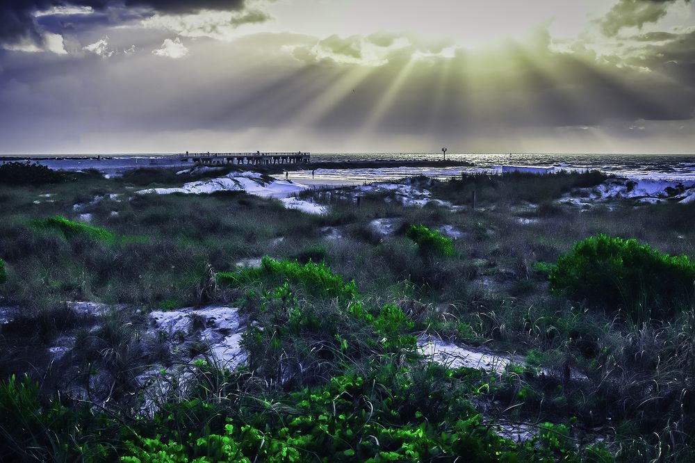 Фотография автора Raymond Asiala